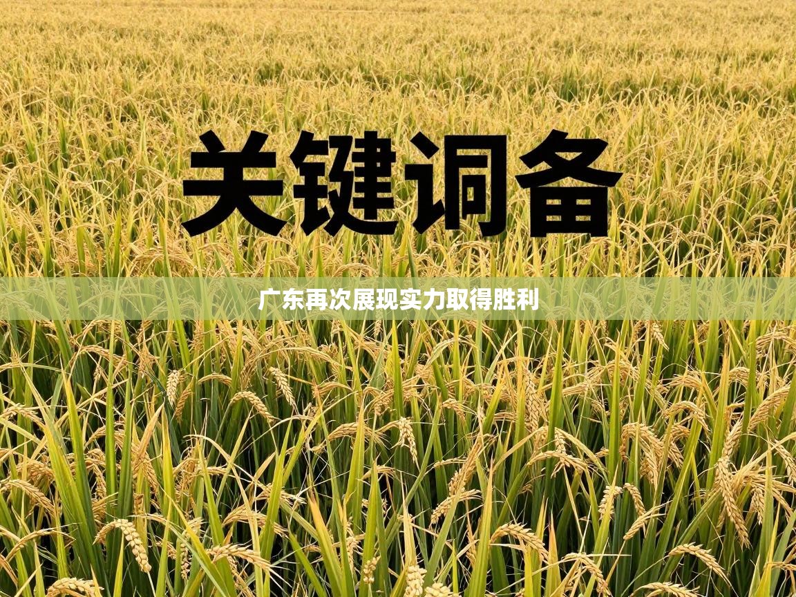 广东再次展现实力取得胜利  第1张